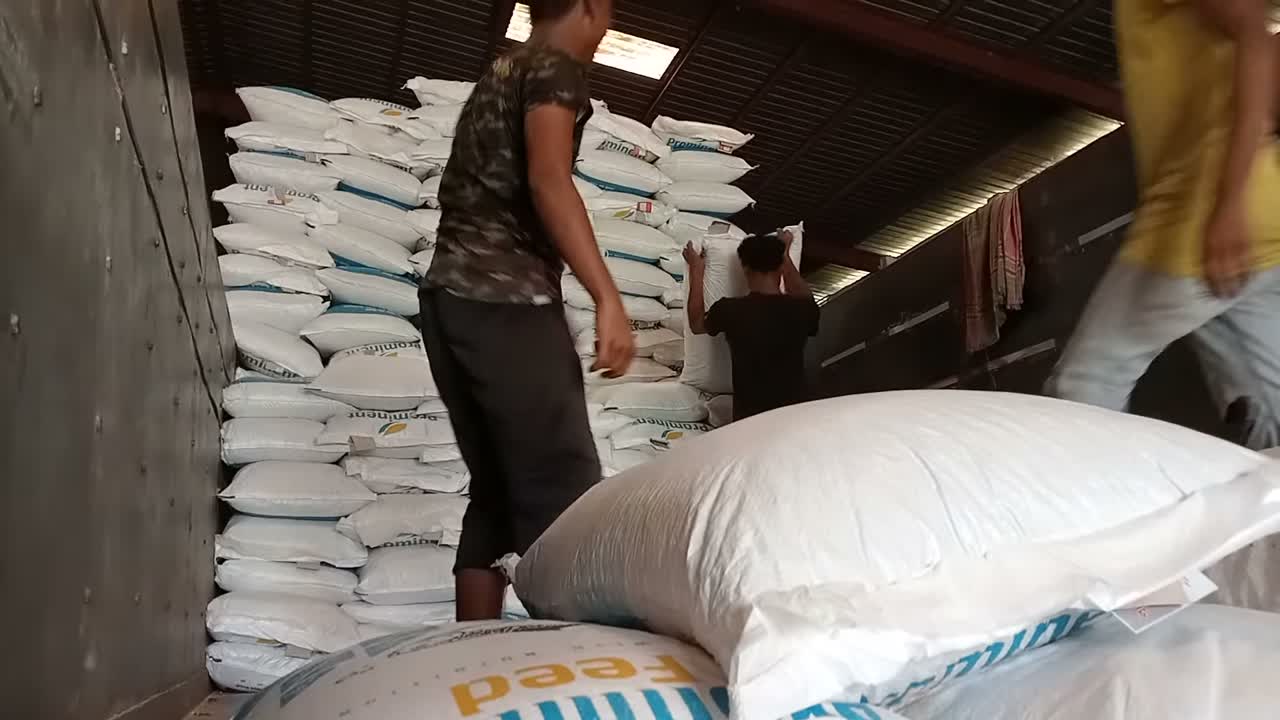 Feed packing &amp; dispatch