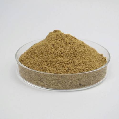 Fish Oil
