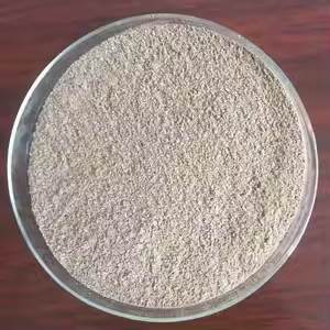 Vitamin–Mineral Premix